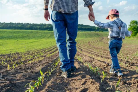 adult and child walking through farmland