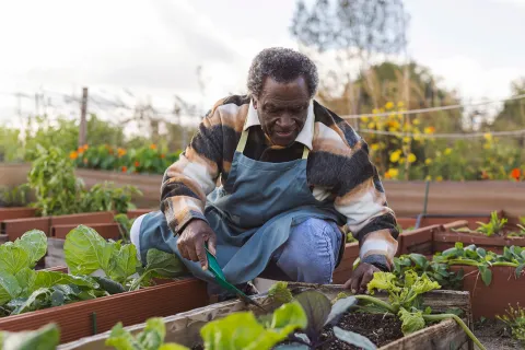 A man gardens