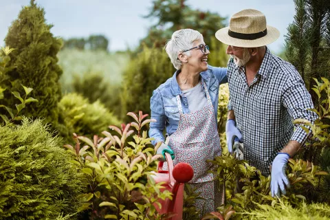 A couple works in their garden.