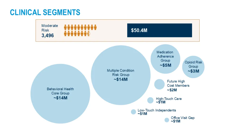 Clinical segments moderate risk illustration