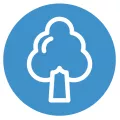 Tree icon