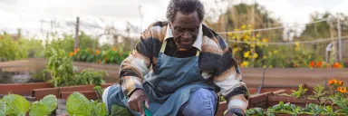 A man gardens